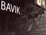 Bavik01